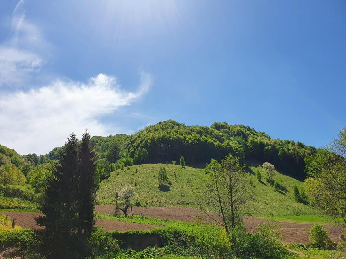 Planinsko Jutro - Brzece Centar Apartments, Kopaonik Kültér fotó